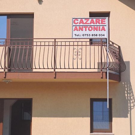 Cazare Antonia Curtea de Argeş Exteriér fotografie
