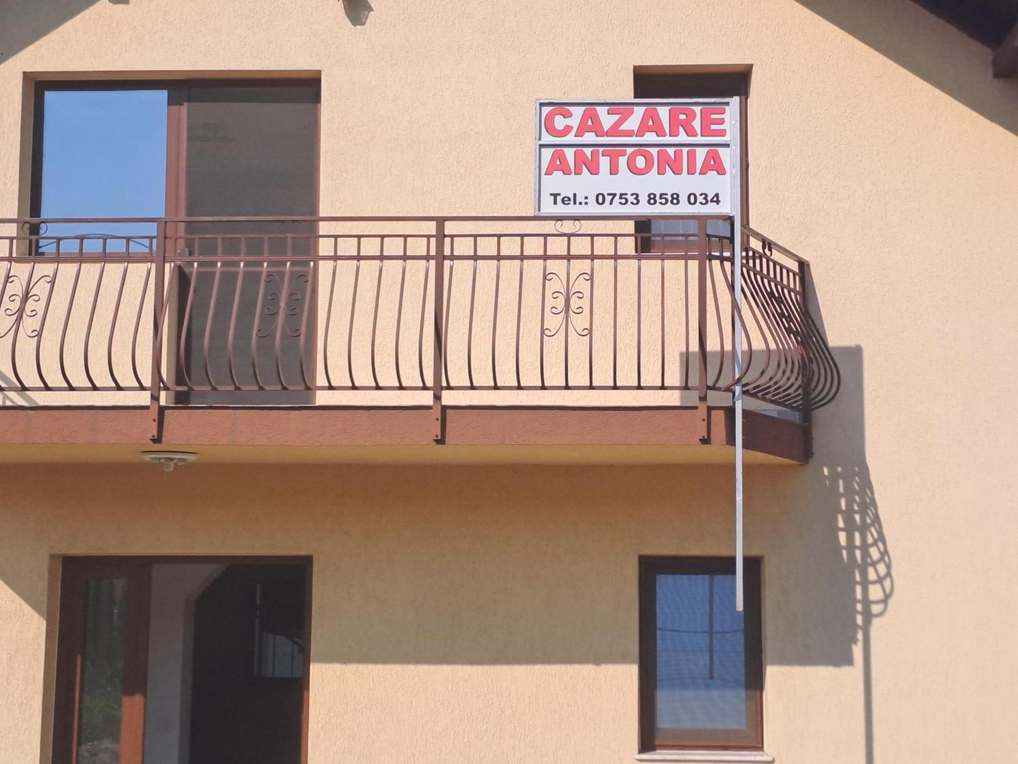 Cazare Antonia Curtea de Argeş Exteriér fotografie