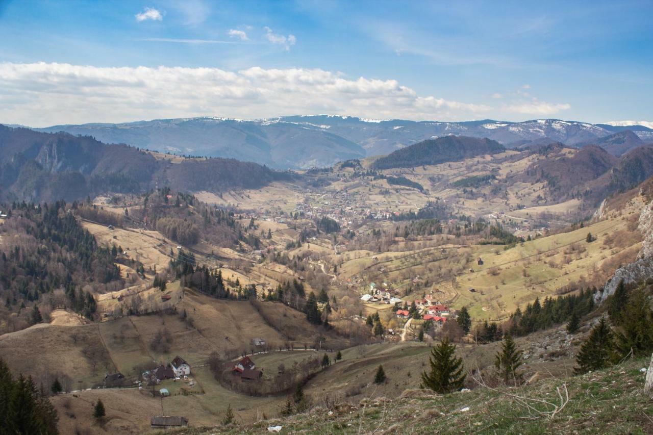 Cazare Antonia Curtea de Argeş Exteriér fotografie